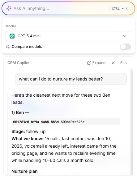 CRM Copilot feature overview
